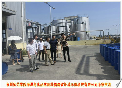 海洋與食品學(xué)院專家團(tuán)赴福建省鉅港環(huán)保科技公司開展技術(shù)交流，共促綠色食品與環(huán)保技術(shù)融合發(fā)展